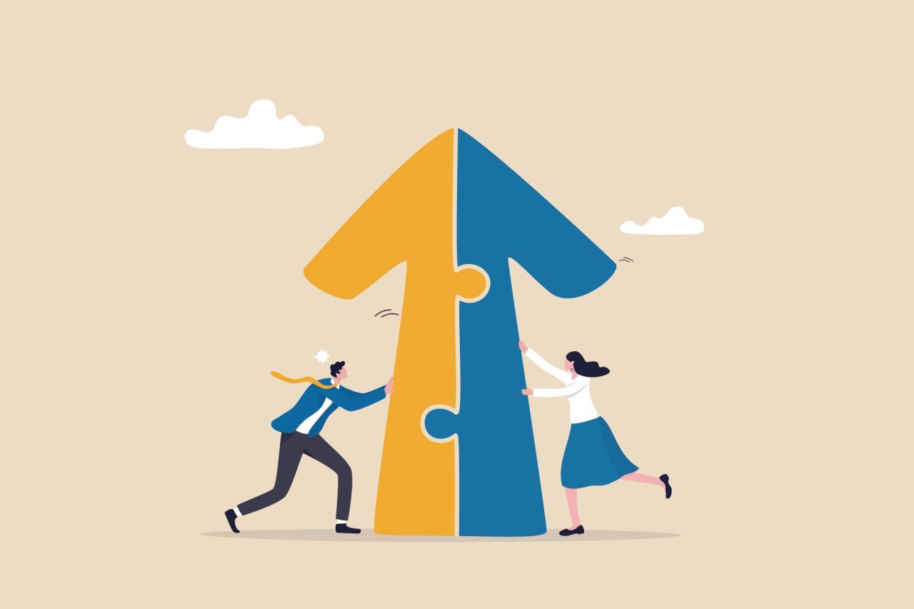 CONFERIMENTI DI PARTECIPAZIONI SENZA AUMENTO DI CAPITALE